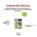 Easy Pouss - Cactus Cream