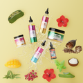 Aloé Locks - PACK - Routine pour Locks